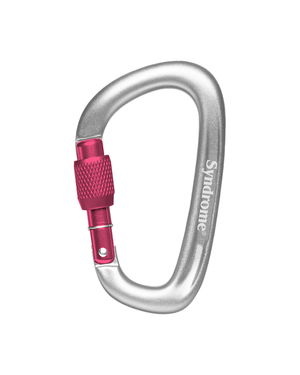 Syndrome Carabiner